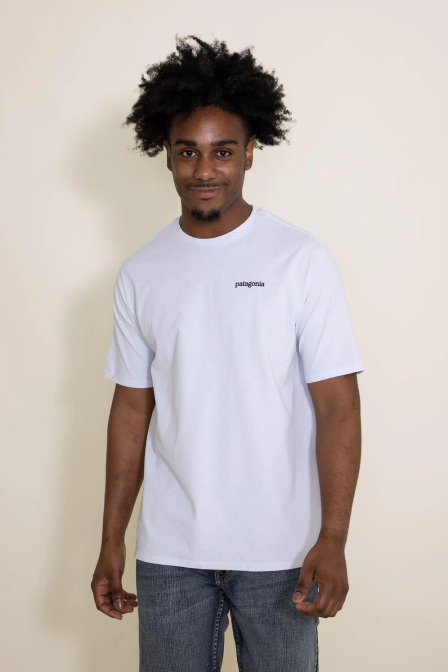 T-Shirts * | Patagonia Men'S Fitz Roy Horizons Responsibili-Tee T-Shirt In | 38501-Whi White