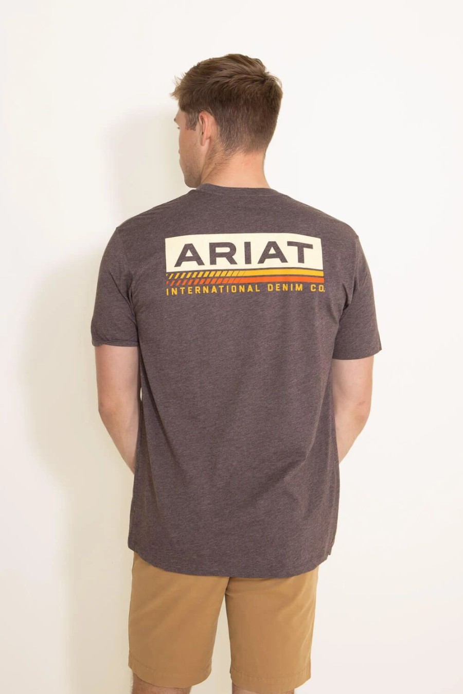 T-Shirts * | Ariat International Ariat Retro Stripe T-Shirt For Men In | 10045286 Brown